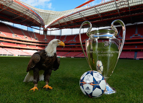 安东尼等边 安东尼等边