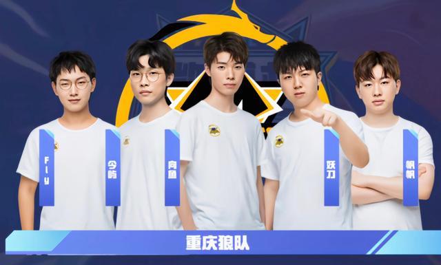 家队整体的 家队整体的