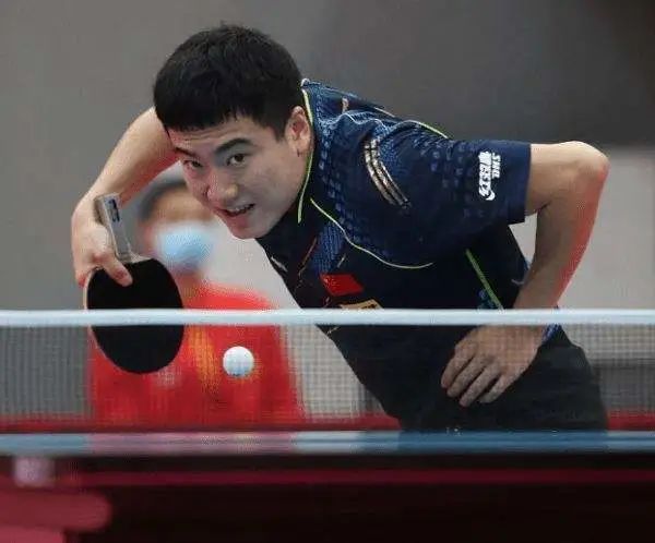 这种鸟类的 这种鸟类的